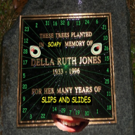 Della Ruth Jones Darts
