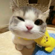 PIKACHU XPLOIT
