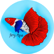 Jerry Aqua