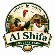 Alshifapoultryfarm
